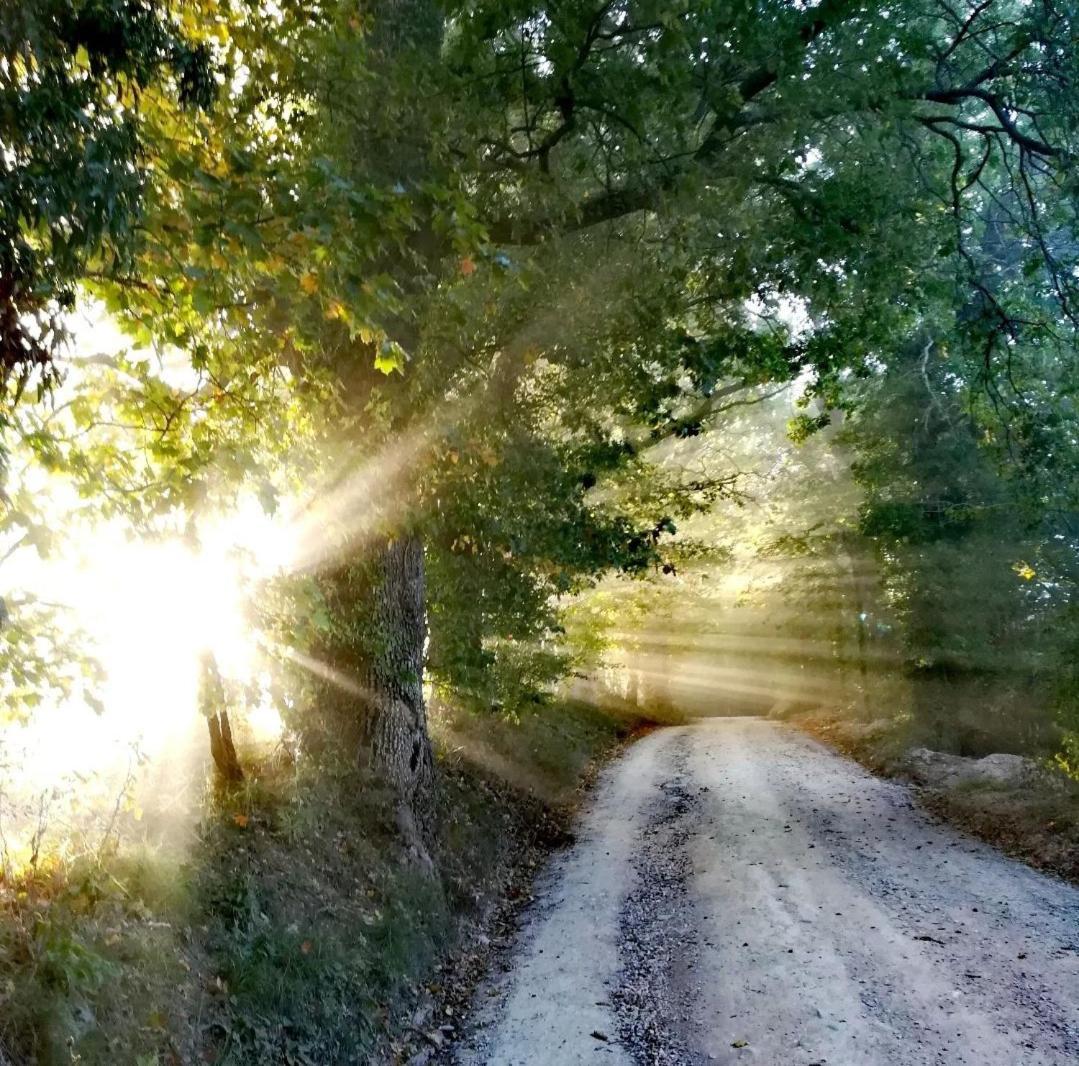 La Quercia Incantata Camerino Exteriér fotografie